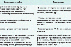 Механизм действия хондропротекторов