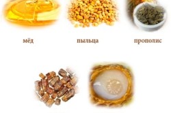 Продукты пчеловодства для лечения остеохондроза