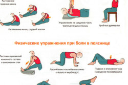 Упражнения для укрепления спины