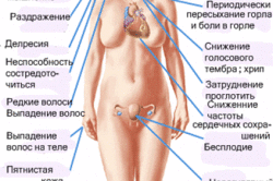 Симптомы гипотиреоза Симптомы гипотиреоза