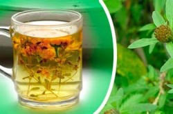 Чай из травы череды для лечения аллергии