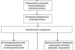 Патогенез болезни Иценко-Кушинга